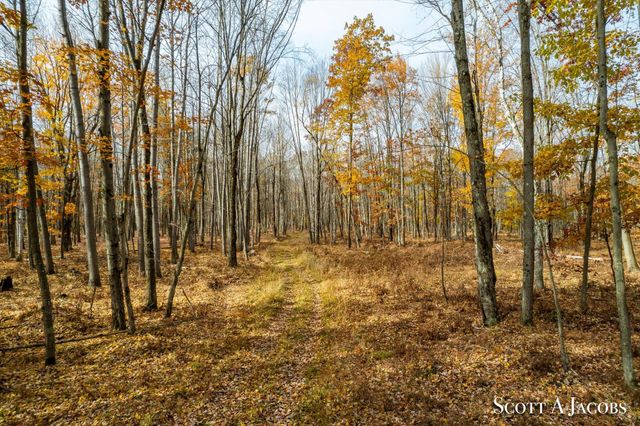1125 Chaput Drive, Sears, MI 49679