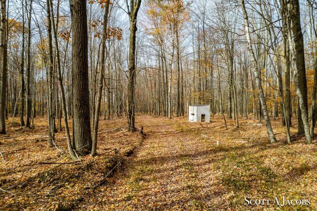 1125 Chaput Drive, Sears, MI 49679