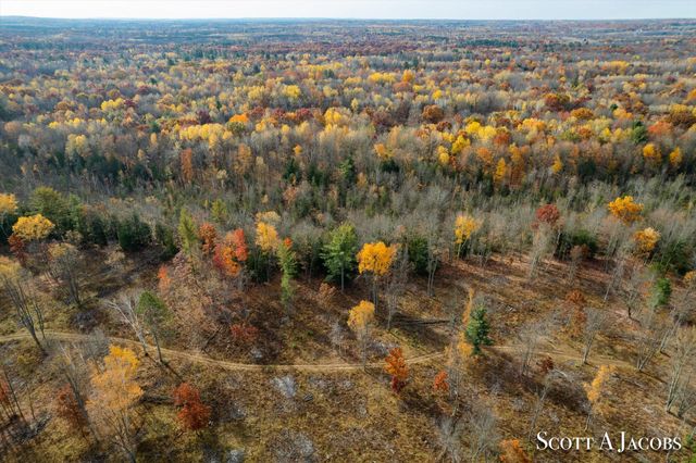 1125 Chaput Drive, Sears, MI 49679