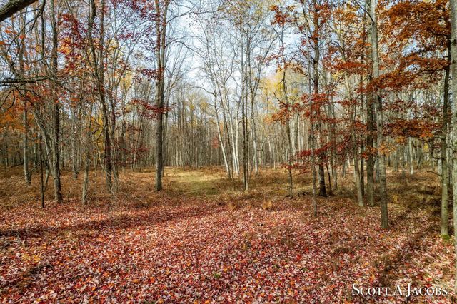 1125 Chaput Drive, Sears, MI 49679