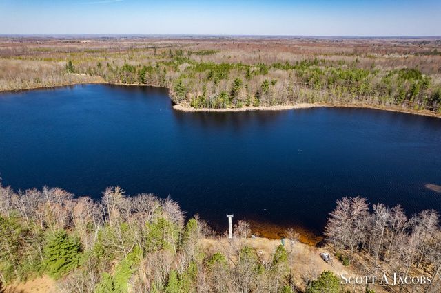 1125 Chaput Drive, Sears, MI 49679
