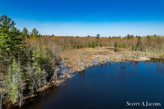 1125 Chaput Drive, Sears, MI 49679