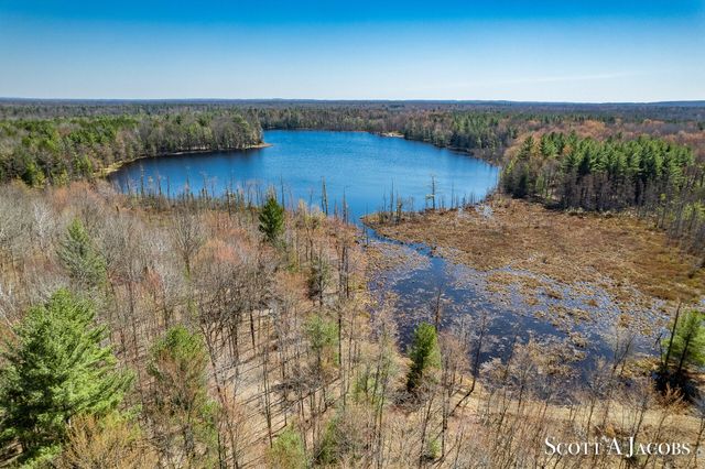 1125 Chaput Drive, Sears, MI 49679