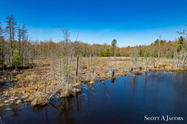 1125 Chaput Drive, Sears, MI 49679
