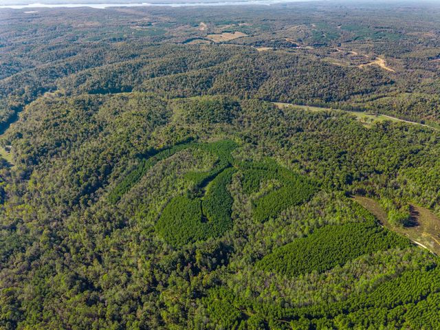0 Cox Hollow, Dover, TN 37058