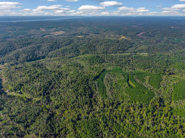 0 Cox Hollow, Dover, TN 37058