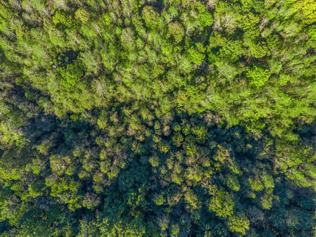 0 Cox Hollow, Dover, TN 37058