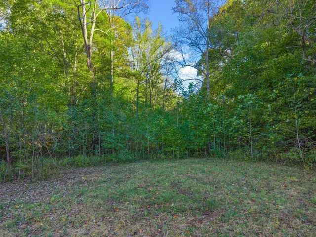 0 Cox Hollow, Dover, TN 37058