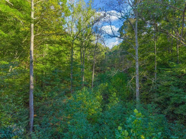 0 Cox Hollow, Dover, TN 37058