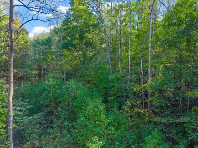 0 Cox Hollow, Dover, TN 37058