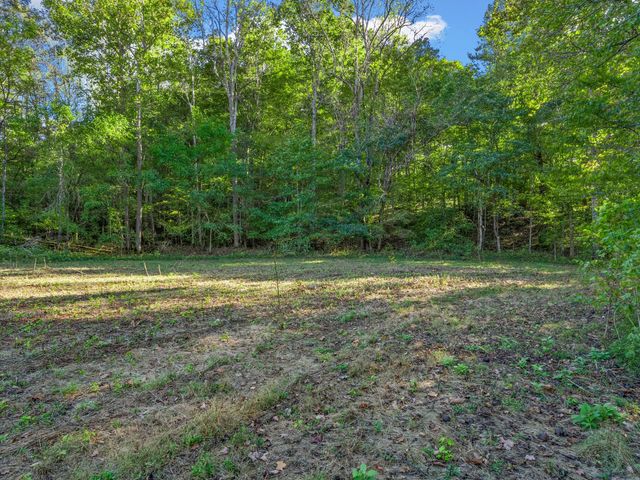0 Cox Hollow, Dover, TN 37058