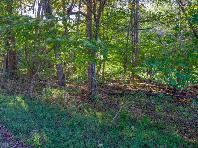 0 Cox Hollow, Dover, TN 37058