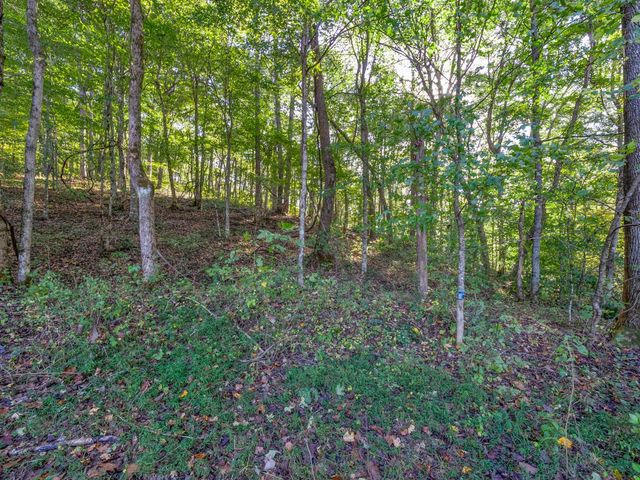 0 Cox Hollow, Dover, TN 37058