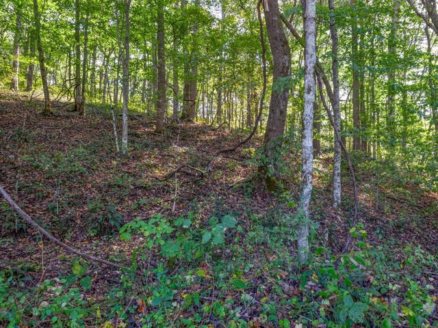 0 Cox Hollow, Dover, TN 37058