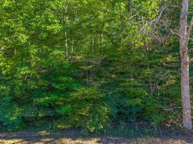 0 Cox Hollow, Dover, TN 37058