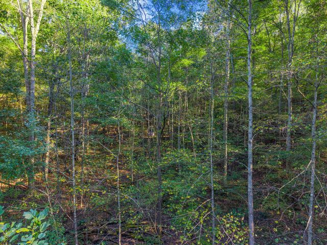 0 Cox Hollow, Dover, TN 37058