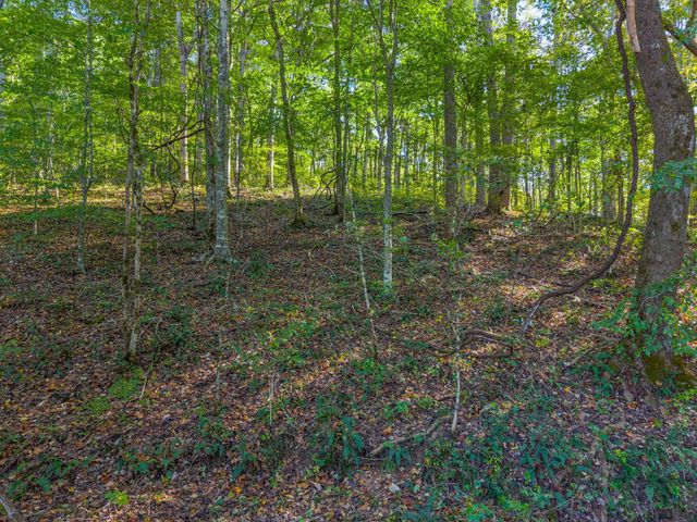 0 Cox Hollow, Dover, TN 37058