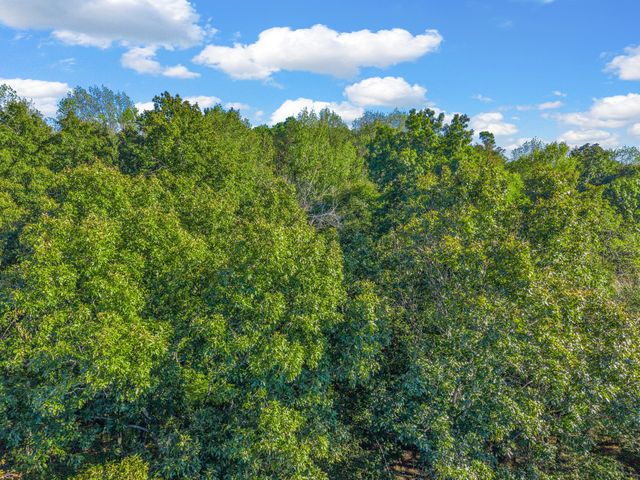 0 Cox Hollow, Dover, TN 37058