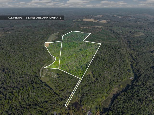 0 Cox Hollow, Dover, TN 37058
