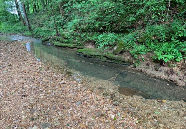 0 Cox Hollow, Dover, TN 37058