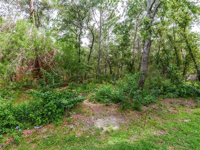 13733 COVEY RUN PLACE, Spring Hill, FL 34609