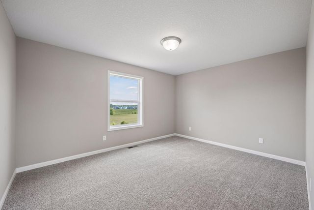 6270 Radford Avenue NE, Otsego, MN 55330