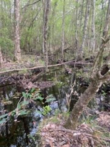 108 Keene Street, Wilmer, AL 36587