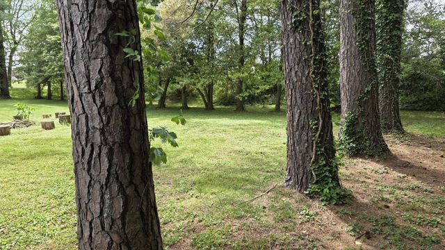 0 Lion Parkway, Columbia, TN 38401