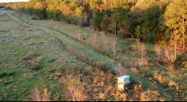 25202 Highway 105, Sour Lake, TX 77659