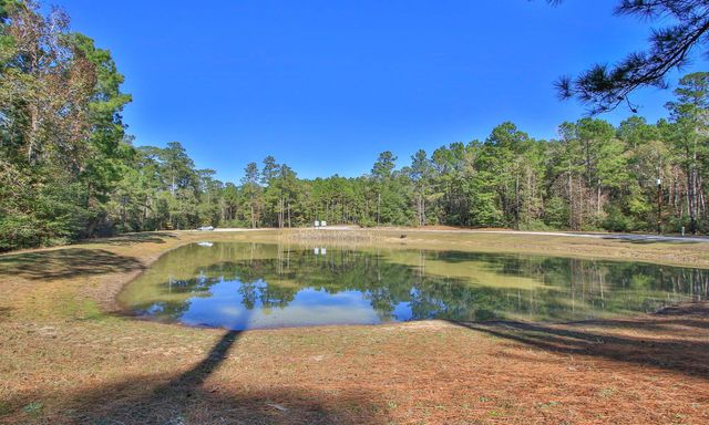 12-22-58 Grey Feather Road, Huntsville, TX 77340