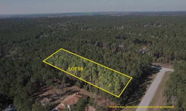 12-22-58 Grey Feather Road, Huntsville, TX 77340