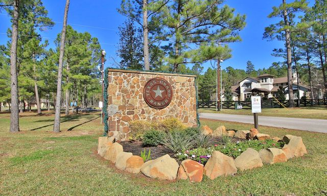 12-22-58 Grey Feather Road, Huntsville, TX 77340