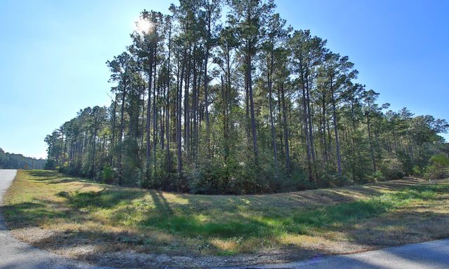 12-22-58 Grey Feather Road, Huntsville, TX 77340