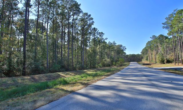 12-22-58 Grey Feather Road, Huntsville, TX 77340