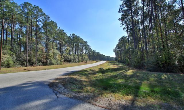 12-22-58 Grey Feather Road, Huntsville, TX 77340