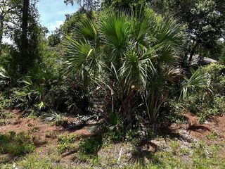 VAN ECK ROAD, North Port, FL 34291