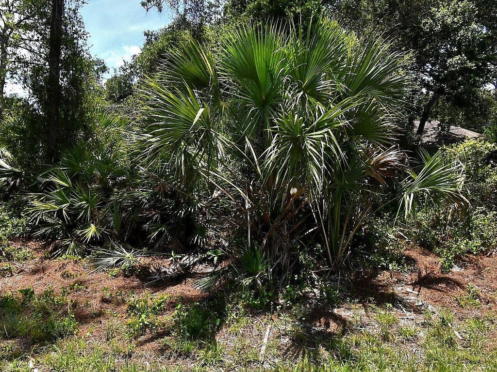 VAN ECK ROAD, North Port, FL 34291