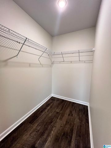 60 BUCKHORN LANE, Lincoln, AL 35096
