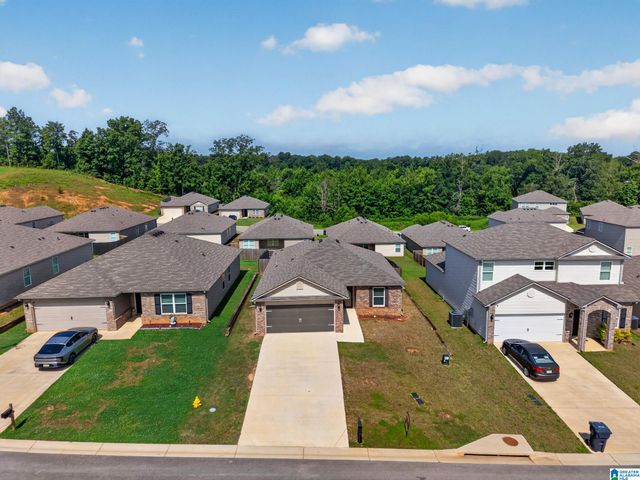 60 BUCKHORN LANE, Lincoln, AL 35096