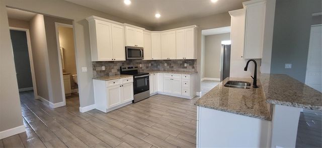1685 E OSCEOLA ROAD, Geneva, FL 32732