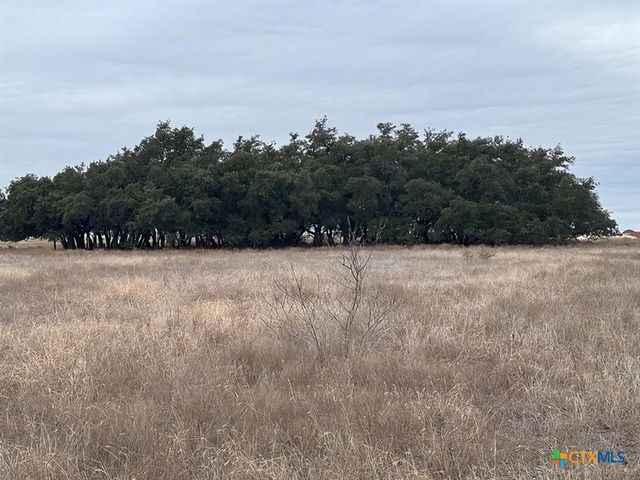 TBD1 County Road 221, Florence, TX 76527