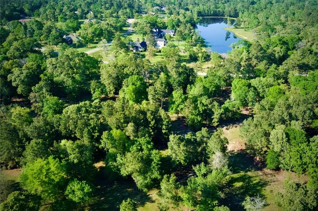 59 Beaconsfield Drive, Magnolia, TX 77355