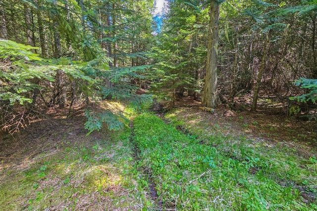 270 Lupine Ln, Newport, WA 99156
