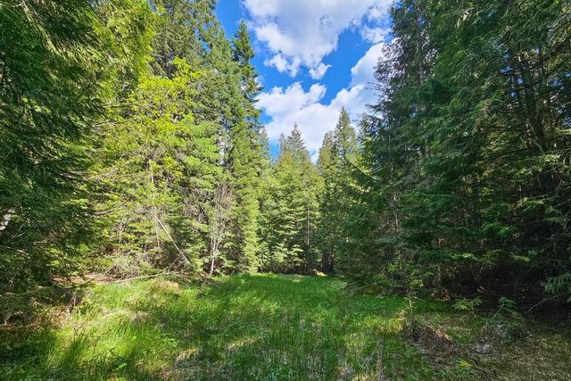 270 Lupine Ln, Newport, WA 99156