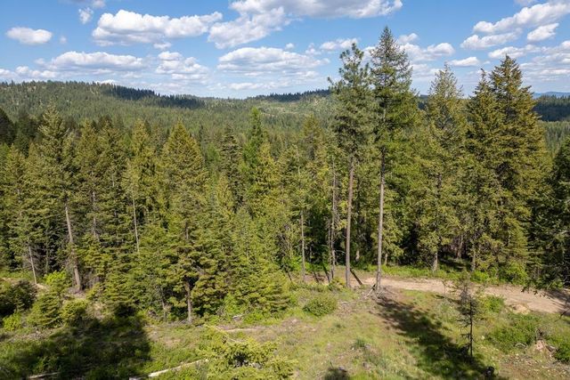 270 Lupine Ln, Newport, WA 99156