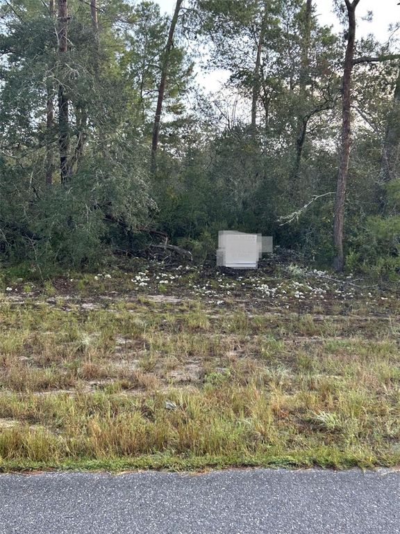 17213 SW 28TH AVENUE, Ocala, FL 34473