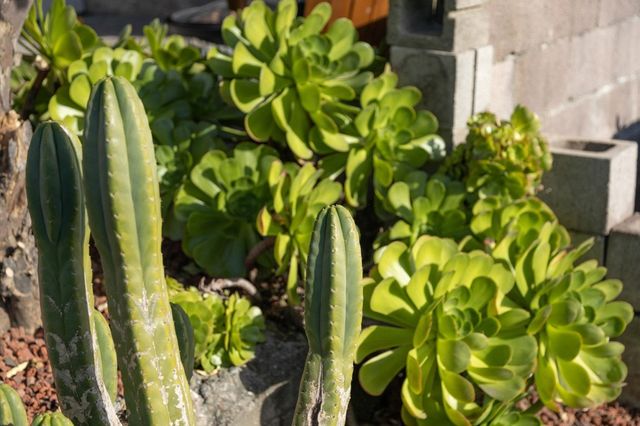 3363 Kiwanis St, Oakland, CA 94602