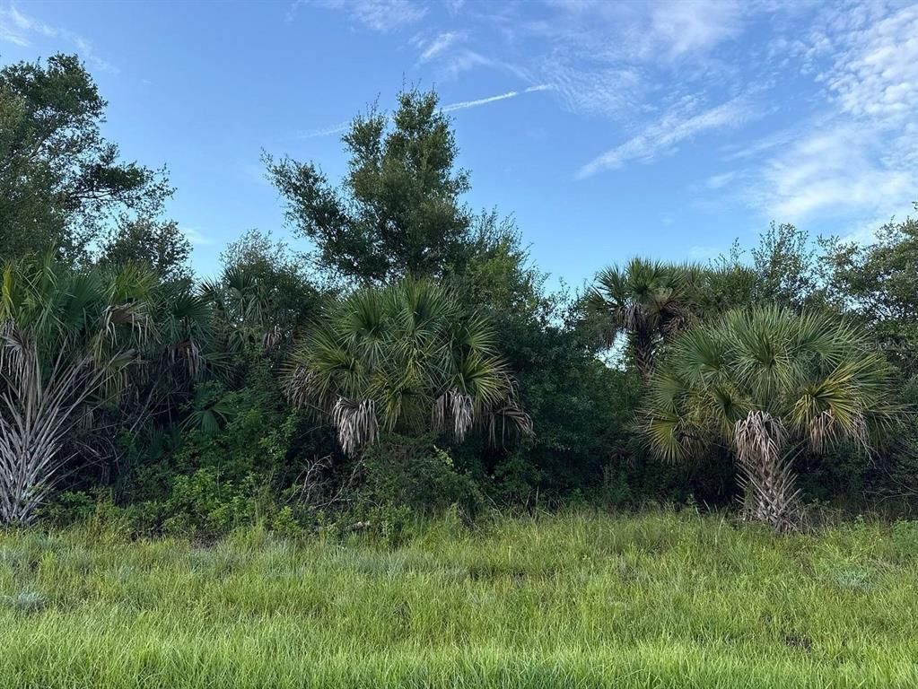 398 SYCAMORE STREET, Port Charlotte, FL 33954