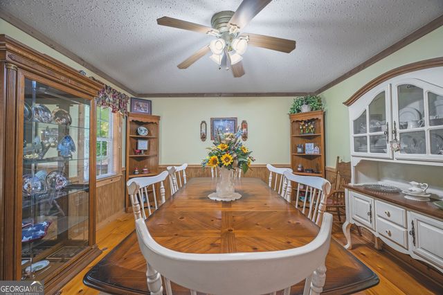 495 Dockery Lane, Mineral Bluff, GA 30559