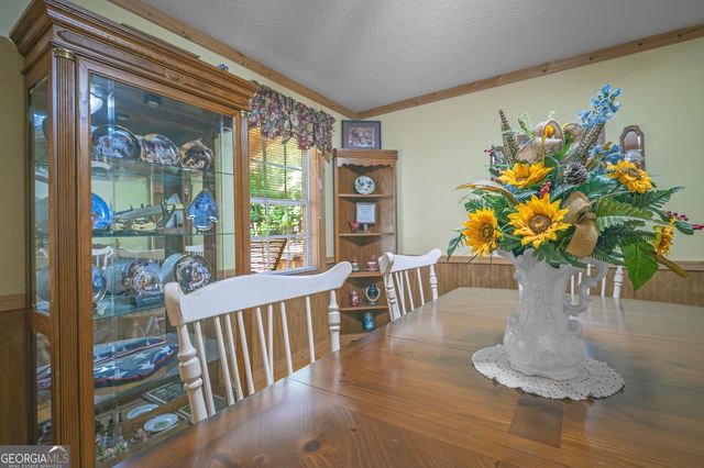495 Dockery Lane, Mineral Bluff, GA 30559